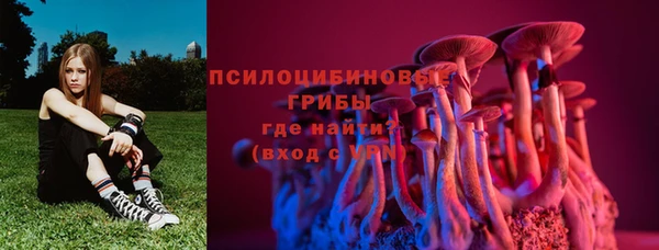 гидропоника Абдулино