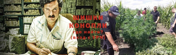 гидропоника Абдулино