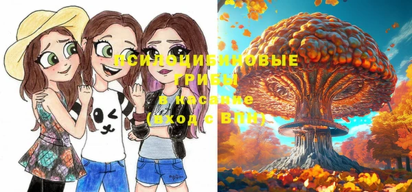 гашик Новодвинск